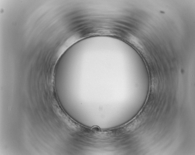 X0000089421378200706291022