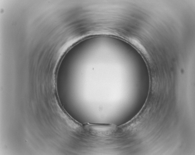 X0000089421380200706291022