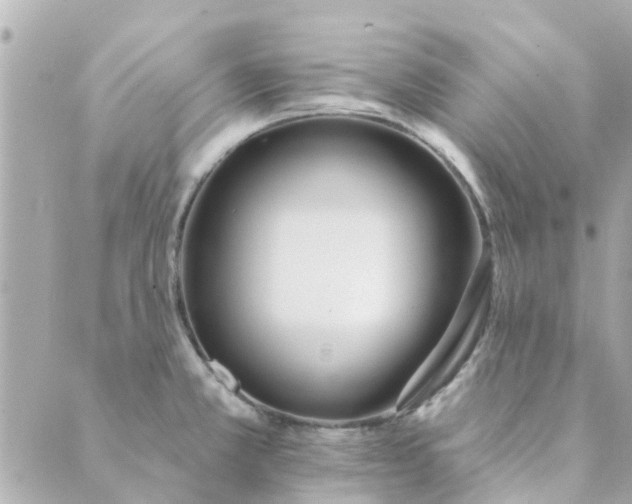 X0000089421381200706291022