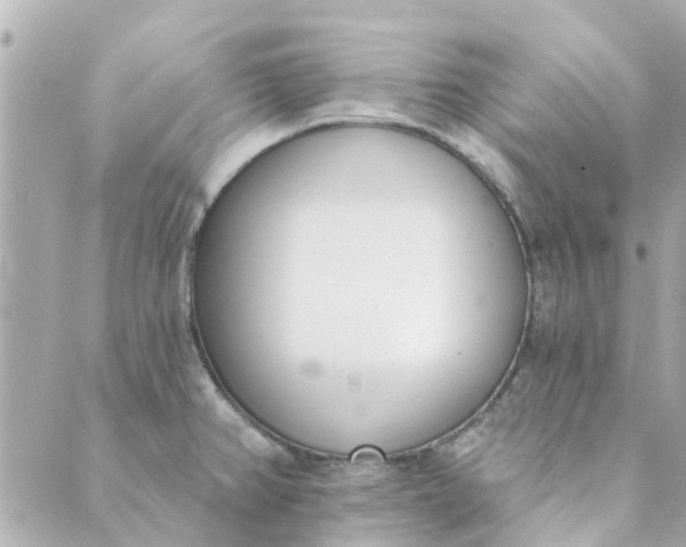 X0000089421382200706291022