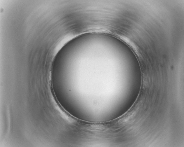 X0000089421383200706291022