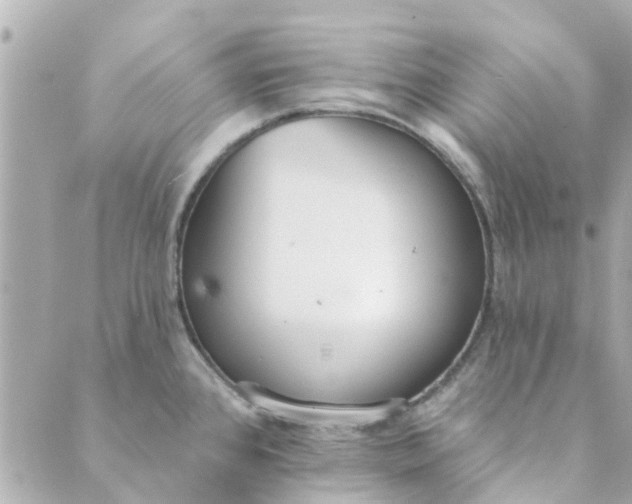 X0000089421384200706291022