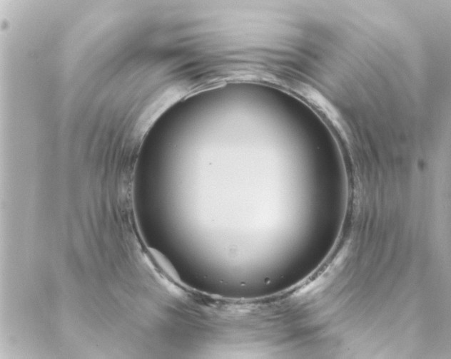 X0000089421385200706291022