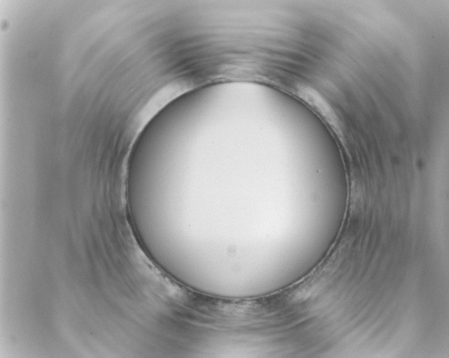 X0000089421386200706291022