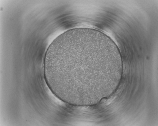 X0000089421387200706291022