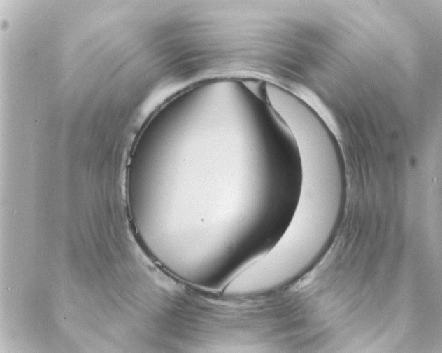 X0000089421388200706291022