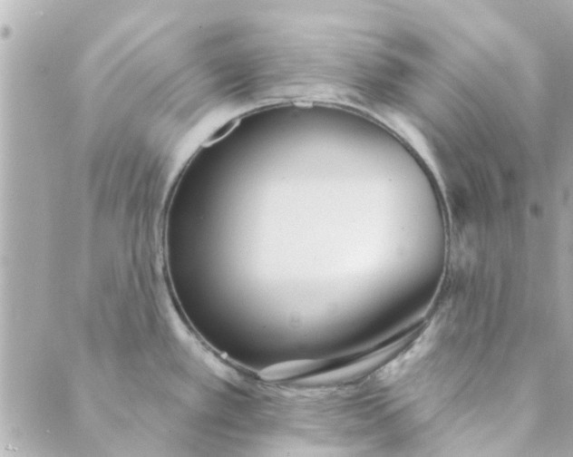 X0000089421389200706291022