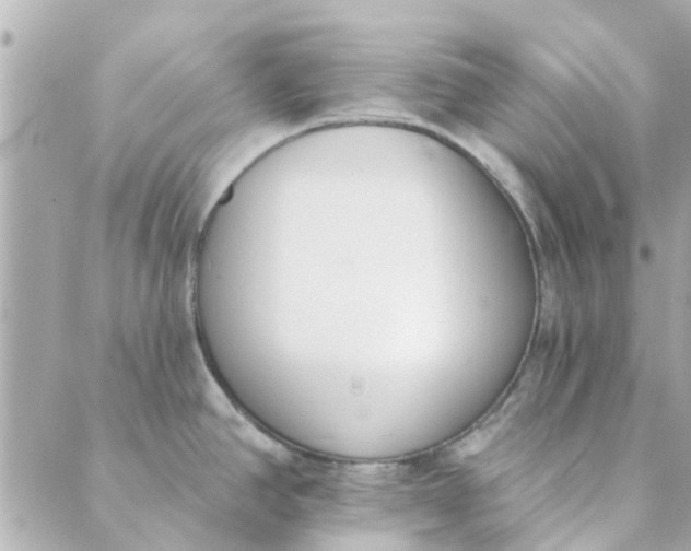 X0000089421390200706291022