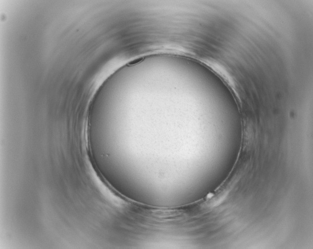 X0000089421391200706291022