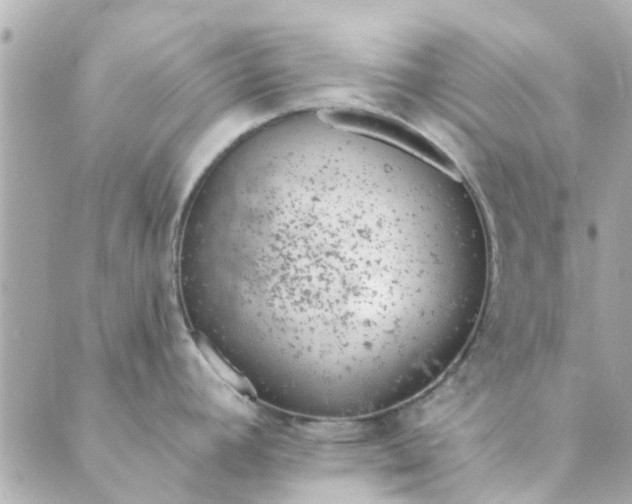 X0000089421392200706291022