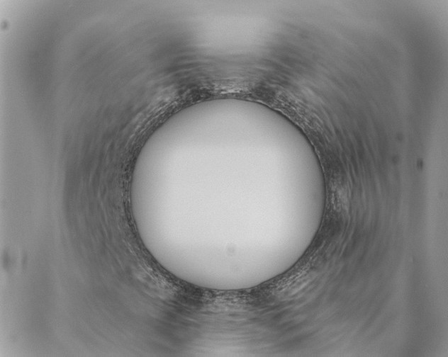 X0000089421393200706291021