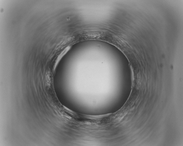 X0000089421394200706291021