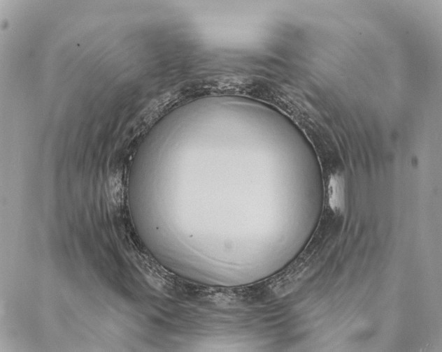 X0000089421395200706291021