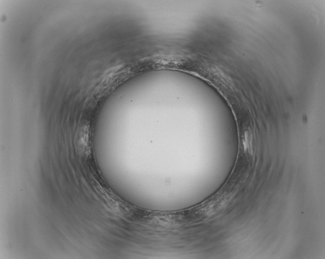 X0000089421396200706291021