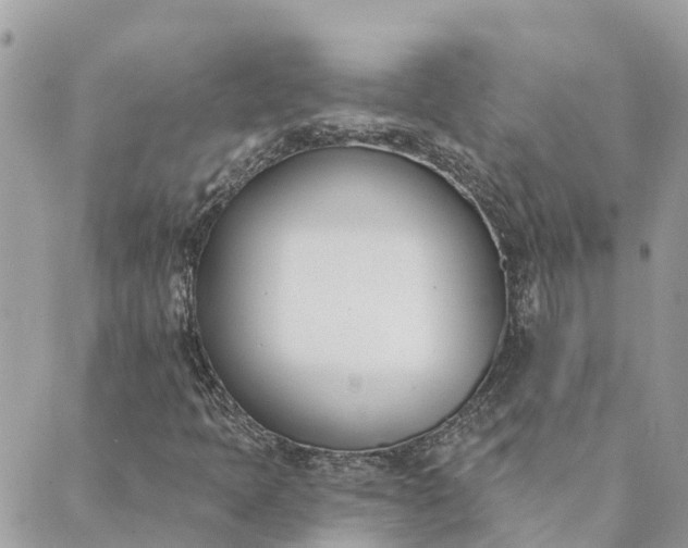 X0000089421397200706291021