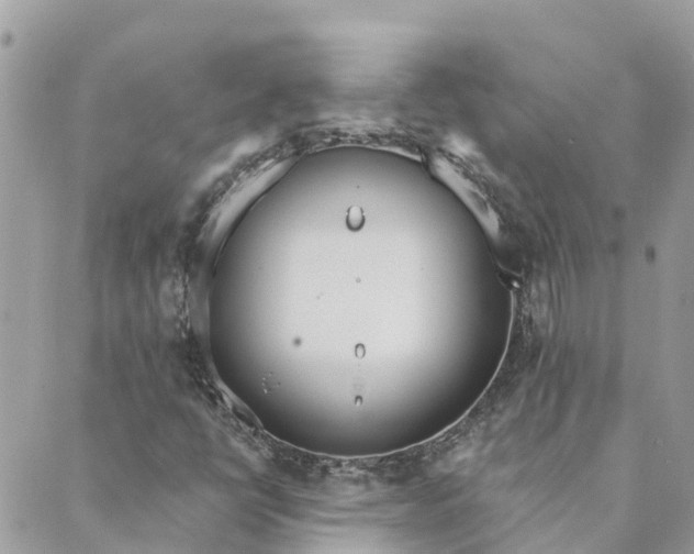 X0000089421398200706291021