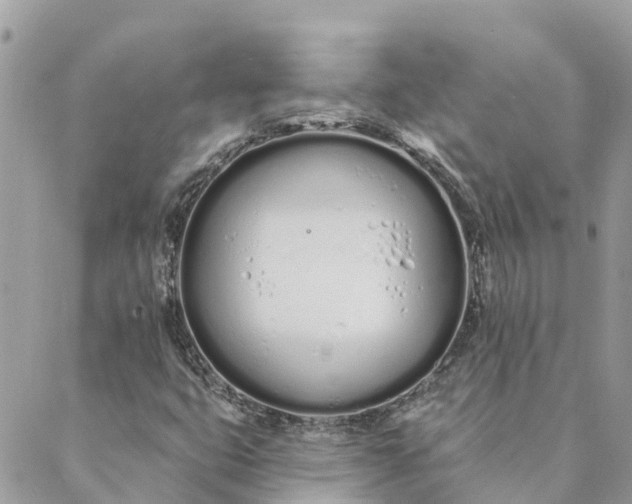 X0000089421399200706291021