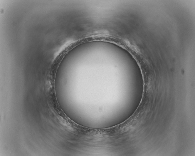 X0000089421400200706291021