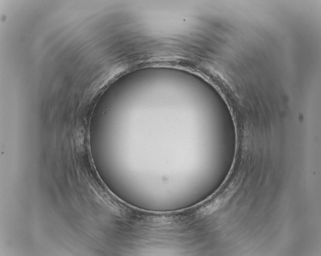 X0000089421401200706291021