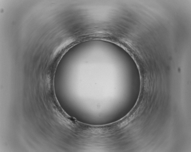 X0000089421402200706291021