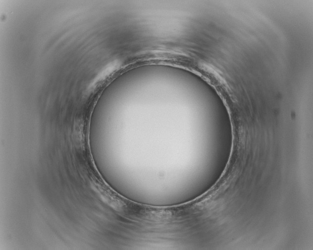 X0000089421403200706291021