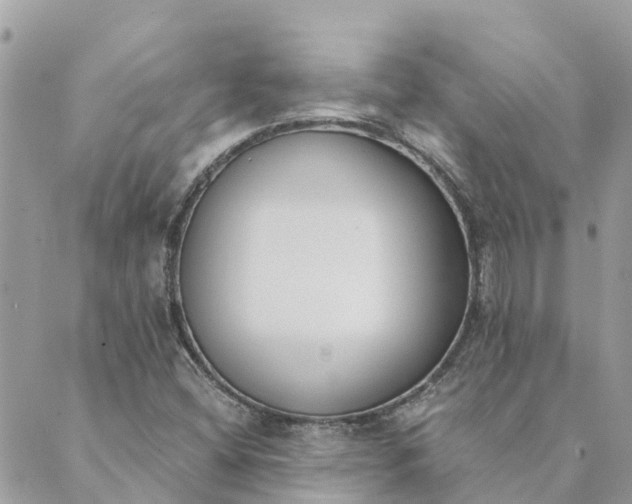 X0000089421404200706291021