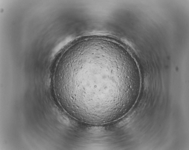 X0000089421406200706291021