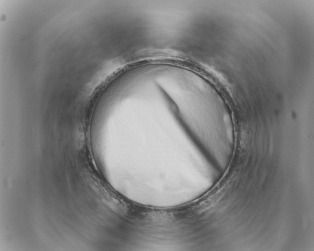 X0000089421407200706291021