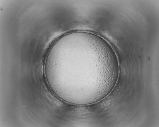 X0000089421408200706291021