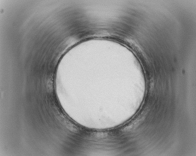 X0000089421409200706291021