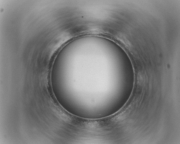 X0000089421410200706291021