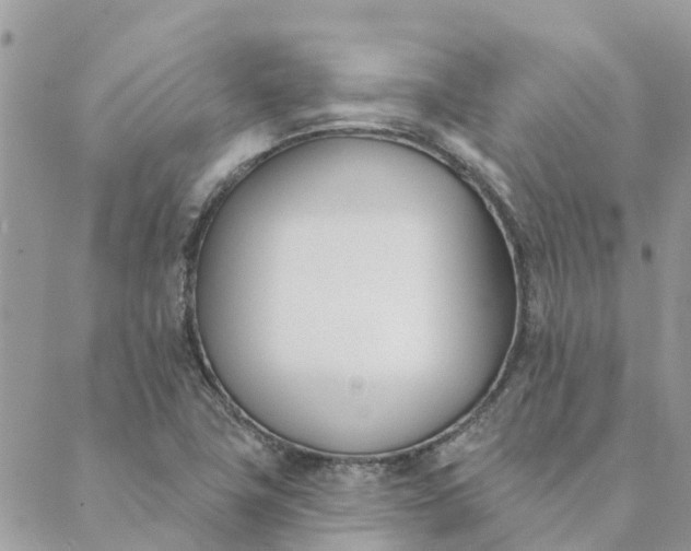 X0000089421411200706291021