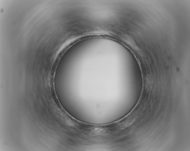 X0000089421412200706291021