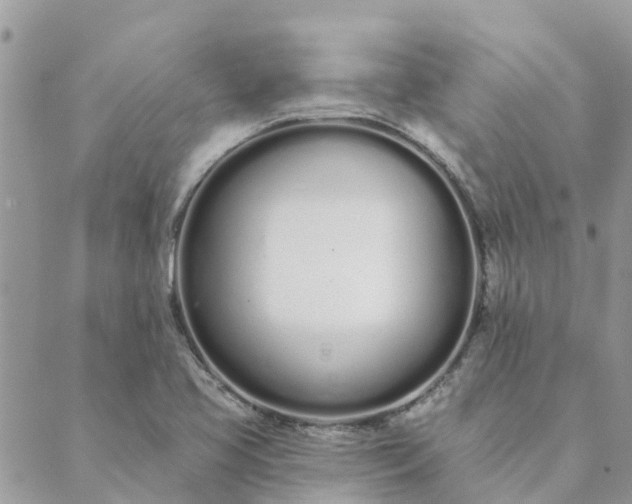 X0000089421413200706291021