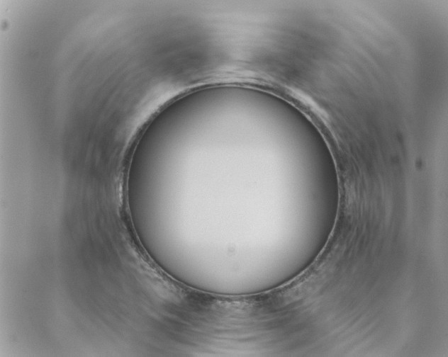 X0000089421415200706291021