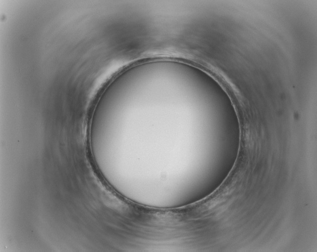 X0000089421416200706291021