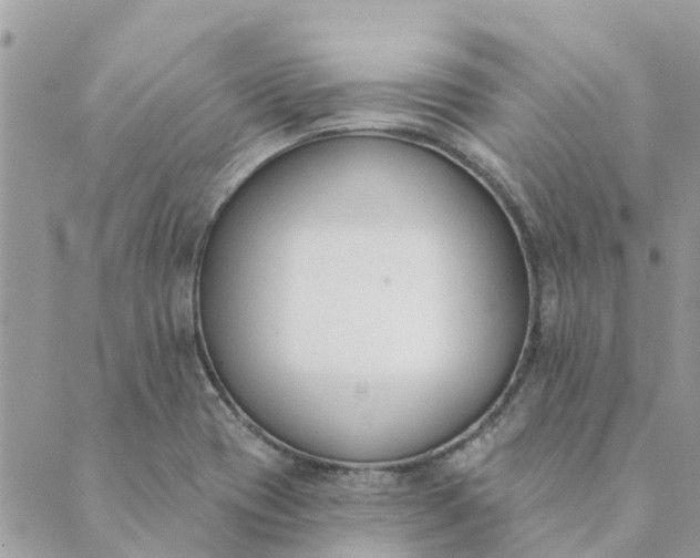 X0000089421417200706291021