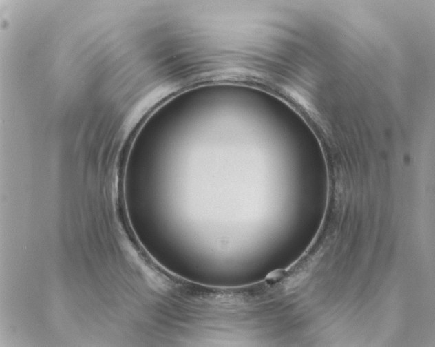 X0000089421418200706291021