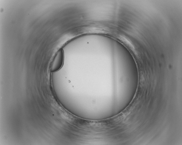 X0000089421419200706291021