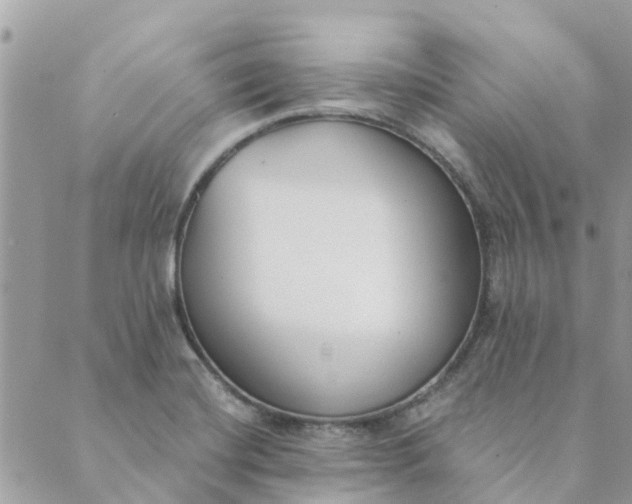 X0000089421420200706291021