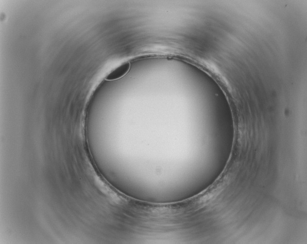 X0000089421421200706291021