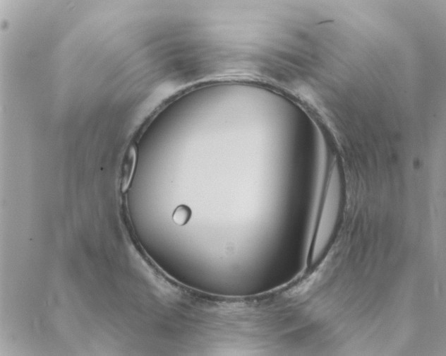 X0000089421422200706291022