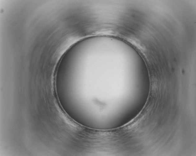 X0000089421423200706291022