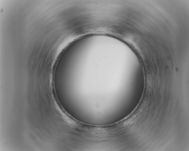 X0000089421424200706291022