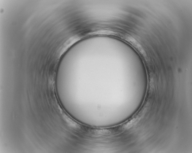 X0000089421425200706291022