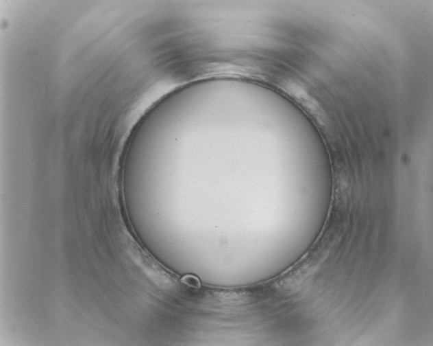 X0000089421427200706291022