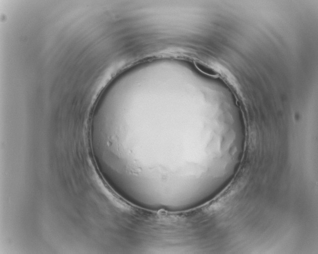 X0000089421429200706291022