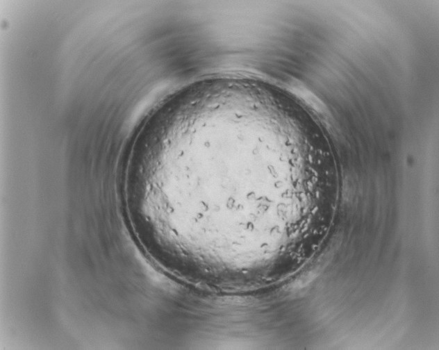 X0000089421430200706291022