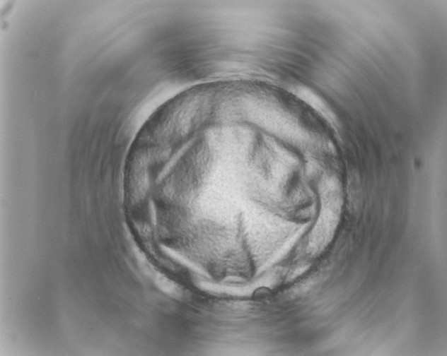 X0000089421431200706291022