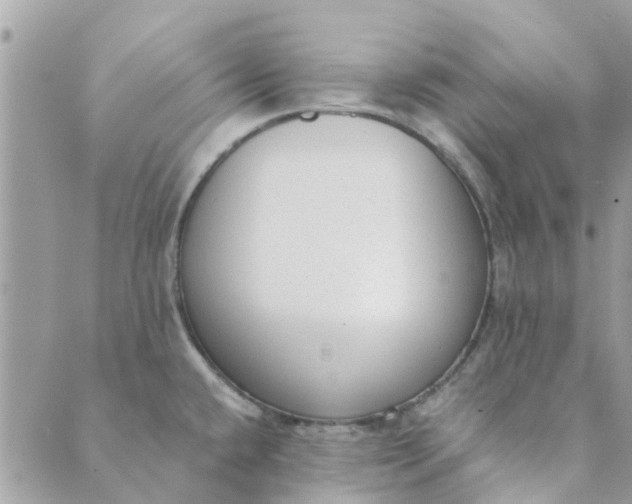 X0000089421432200706291022